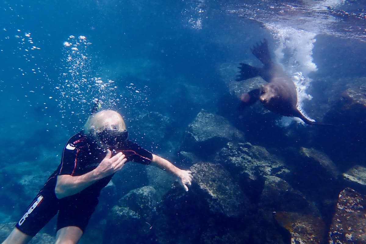 Man snorkelling with sea lion in Galapagos