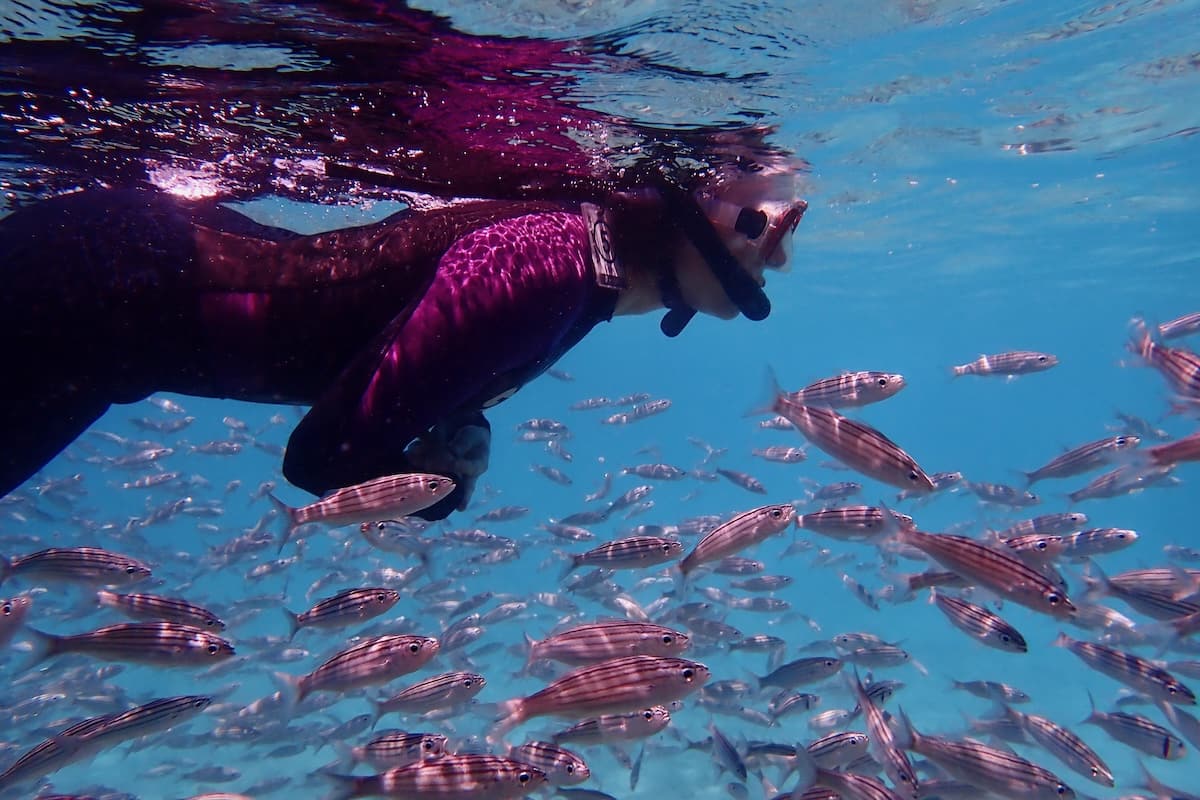 Woman snorkelling with pink fish in the Galapagos