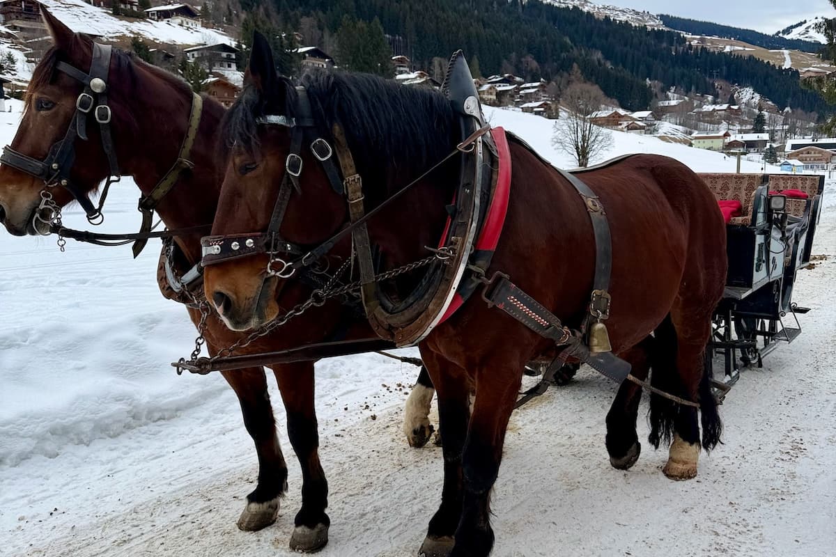 Horse drawn carriage in the snow in Saalbach-Hinterglemm in Austria
