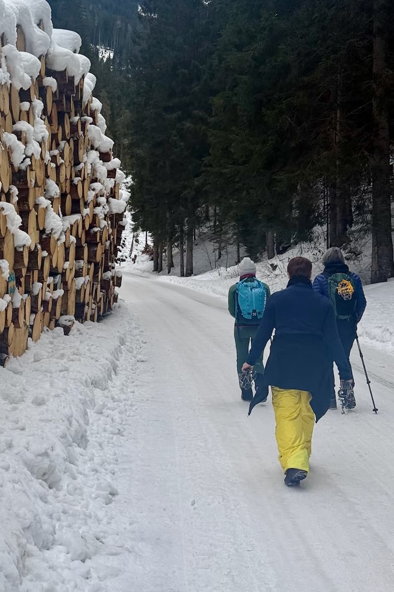 Winter hikers walking past huge stack of logs covered in snow in Saalbach-Hinterglemm, Austria