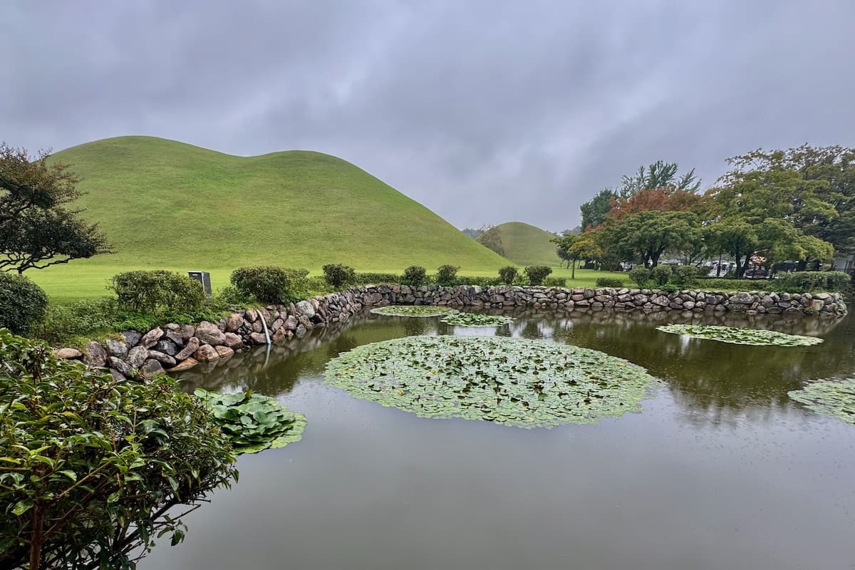 Lily pond and Silla Burial Mounds in Gyeongju Korea