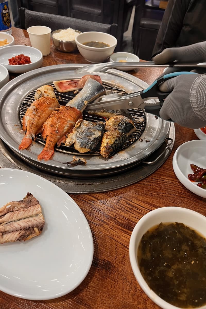 6 types of fish on grill in Sokcho Korea