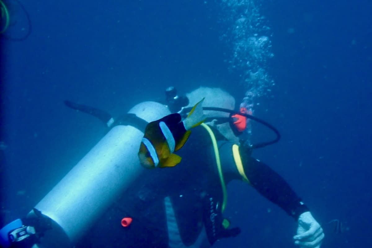 Man scuba diving in Philippines with fish