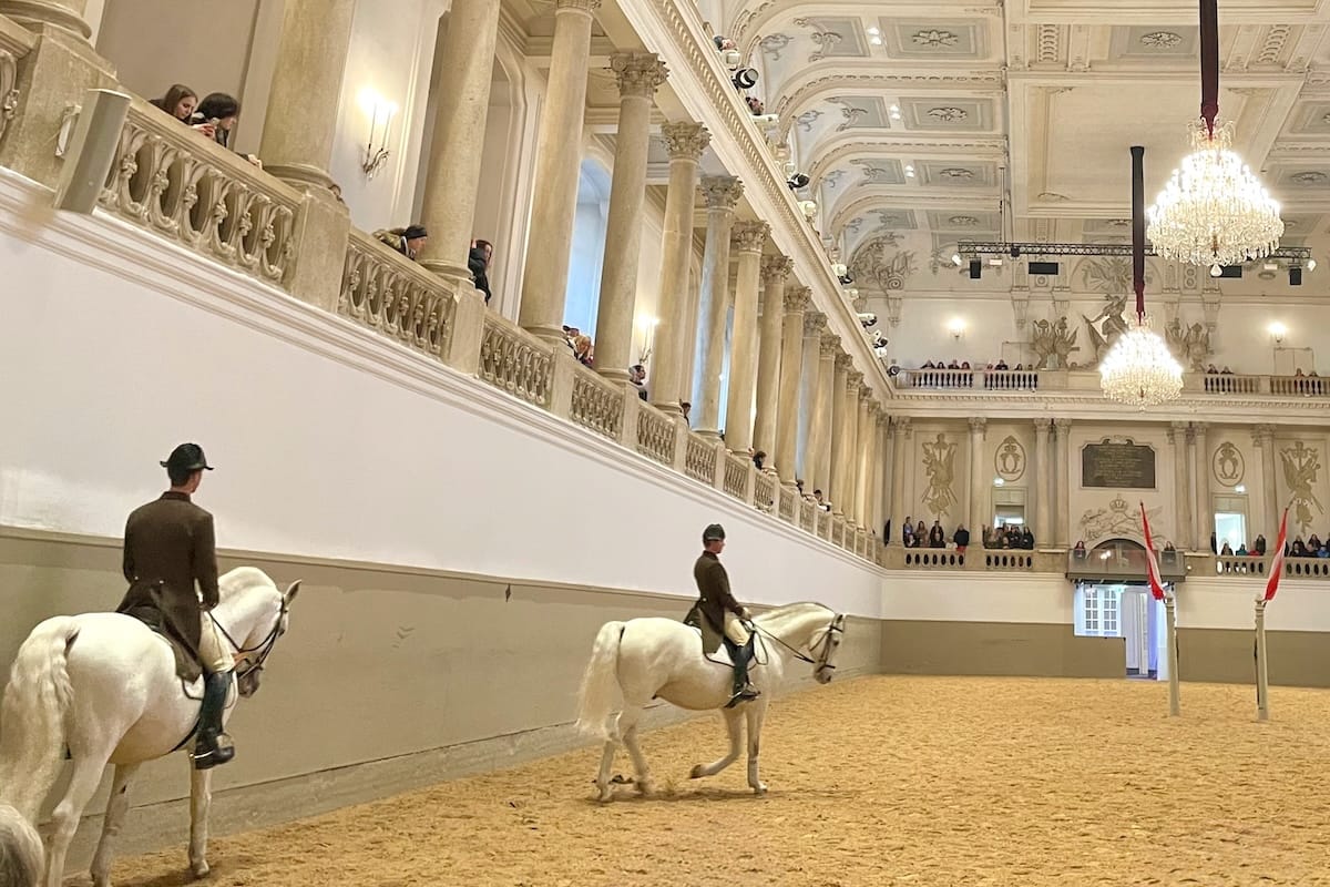 Spanish Dancing horses at Riding School in Hofburg Palace Vienna Austria