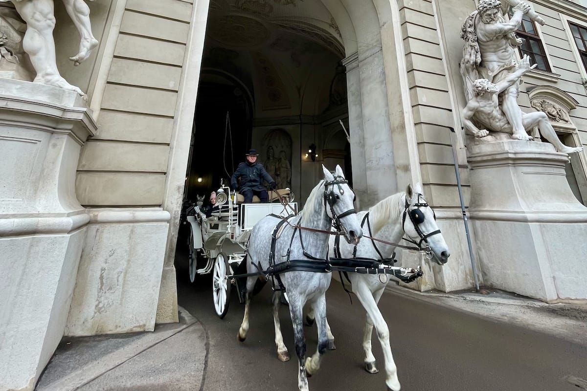 White horses and carriage emerging from Hofburg Palace in Vienna, Austria