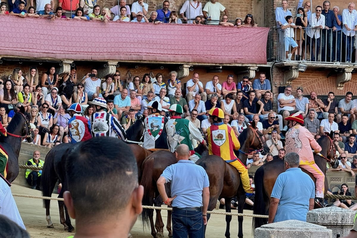 Start line of Palio di Sienna horse race in Italy