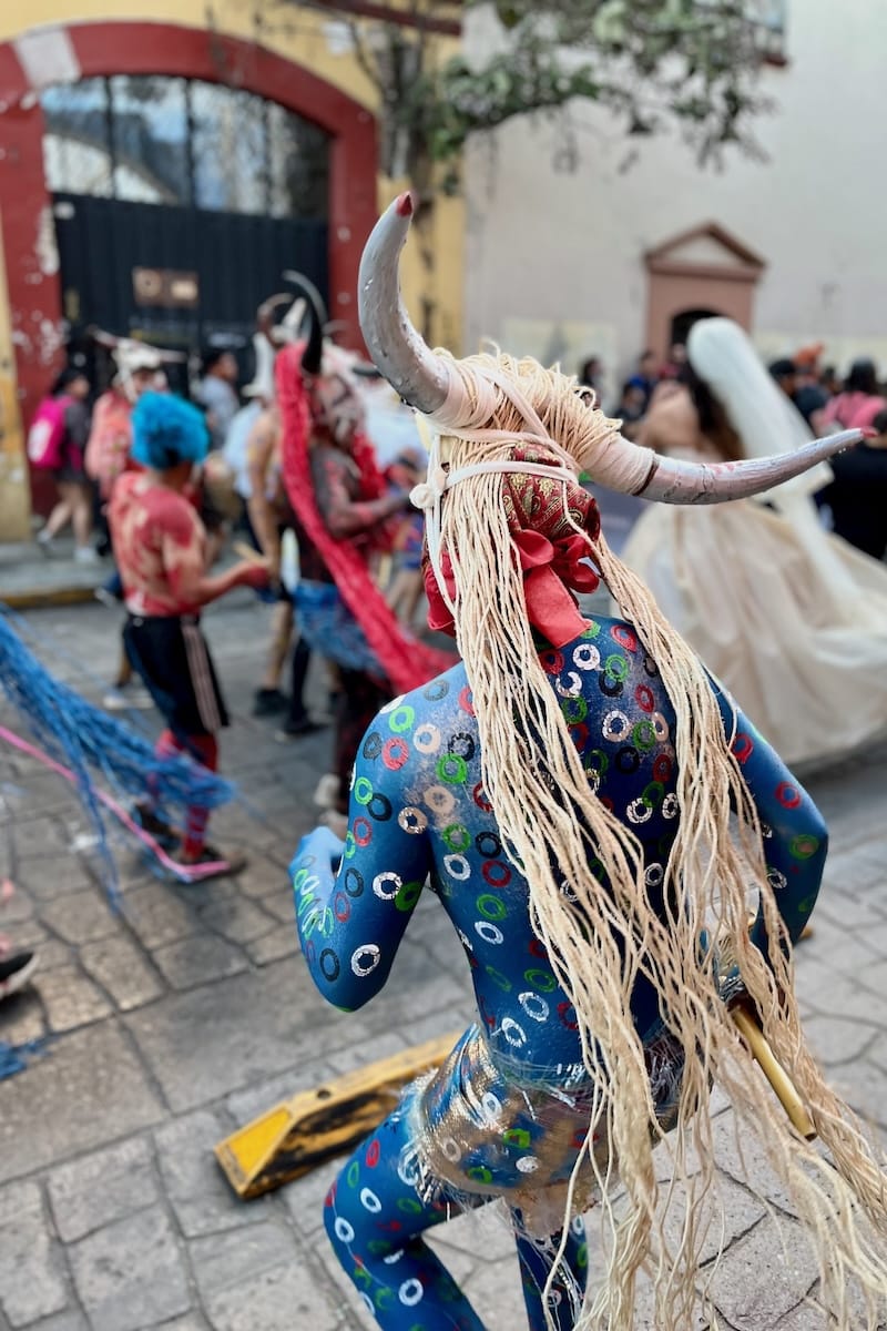 Man in costume at Carnaval in Oaxaca, Mexico