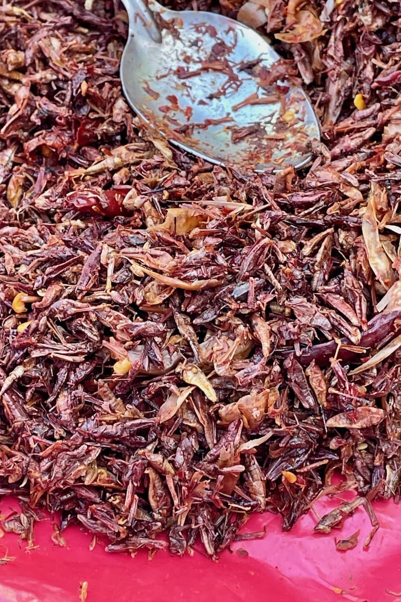 Chapulines grasshoppers with chilli in Oaxaca, Mexico